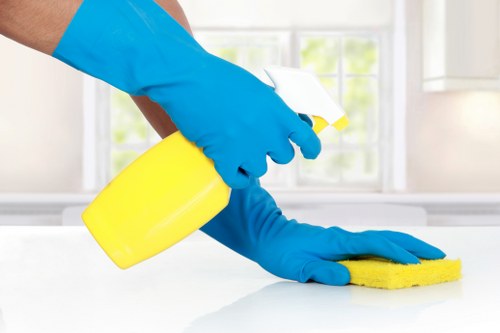 Domestic cleaner working in a Greenwich family home living room