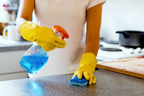 Local window cleaning service covering Greenwich businesses