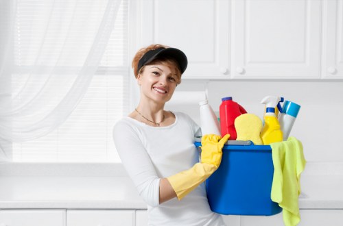 Local cleaner treating pet odour in a Greenwich living room