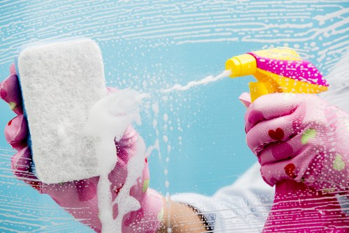 Greenwich Carpet Cleaners team providing professional carpet care