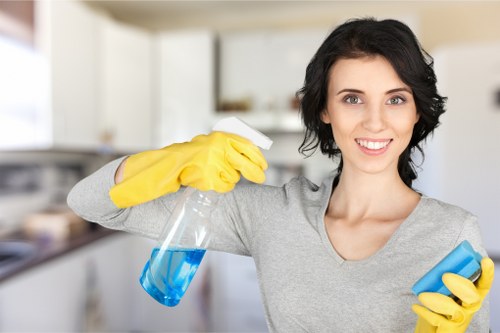 Upholstery cleaning treatment for a fabric sofa in Greenwich