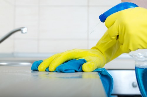 Domestic cleaner tidying a kitchen in Greenwich