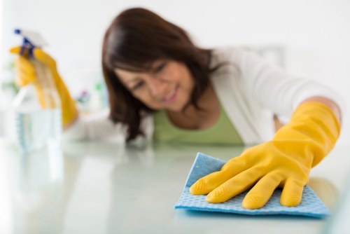 Local upholstery cleaner treating dining chairs in a Greenwich home