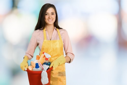 Local cleaner working in a Greenwich apartment