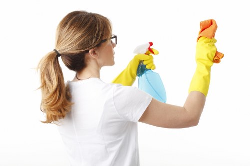 Residential window cleaning for a Greenwich terraced property