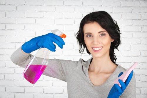 Deep cleaning a rug in a Greenwich property