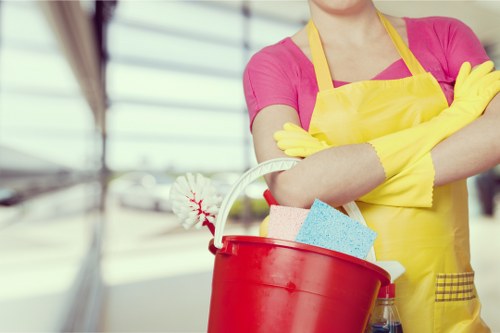 Local Greenwich cleaner working in a modern apartment