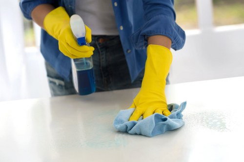 Mattress cleaning appointment for a family home in Greenwich