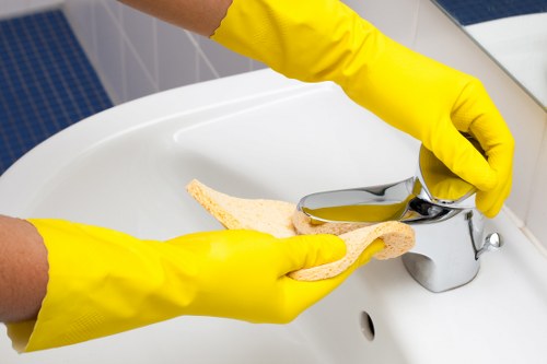 Professional carpet cleaning process in a Greenwich home