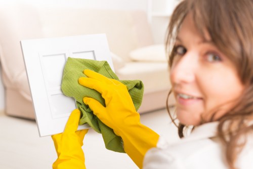 Domestic cleaning checklist and supplies for Greenwich homes